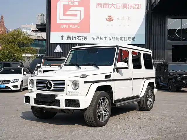 Mercedes-Benz Mercedes Benz G Class Mercedes-Benz G-Class 2017 G 350 D