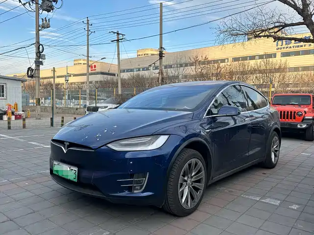 Tesla Model X Model X 2020 Long Battery Life Upgraded Version — фото