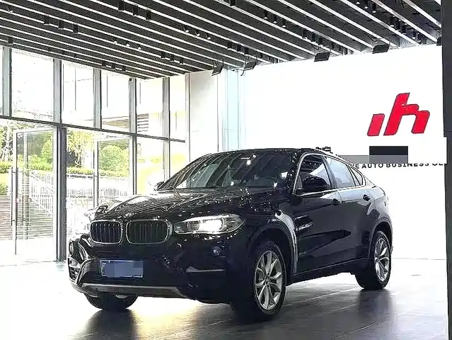 Bmw Bmw X6 Bmw X6 2015 Xdrive35i Leading Model — фото