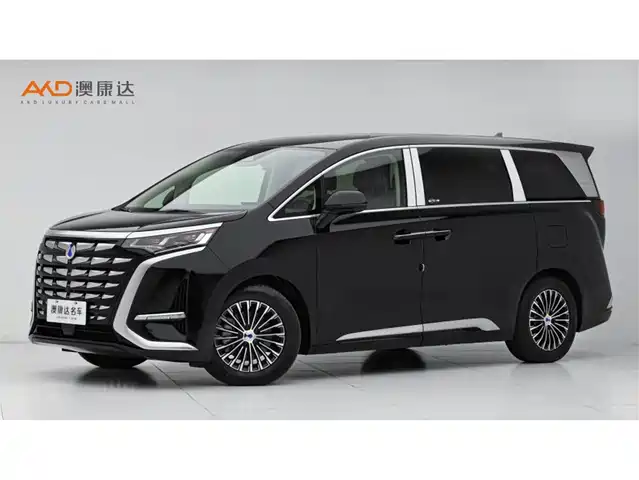 Gain Momentum Denza D9 Denza D9 2024 Dm-I 980 Four-Wheel Drive Premium Model