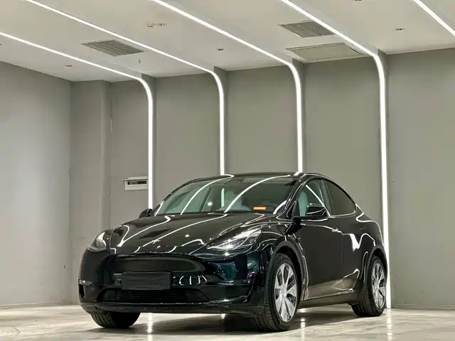 Tesla Model Y Model Y 2022 Rear-Wheel Drive Version