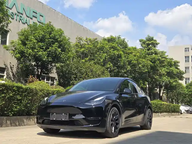 Tesla Model Y Model Y 2022 Rear-Wheel Drive Version — фото