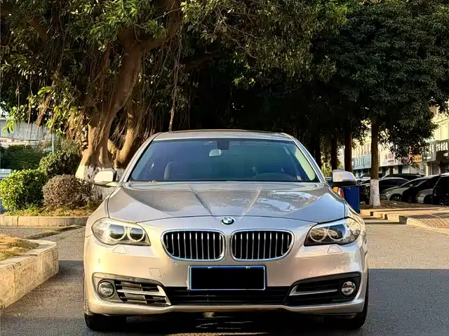 Bmw Bmw 5 Series Bmw 5 Series 2014 525li Leading Model — фото