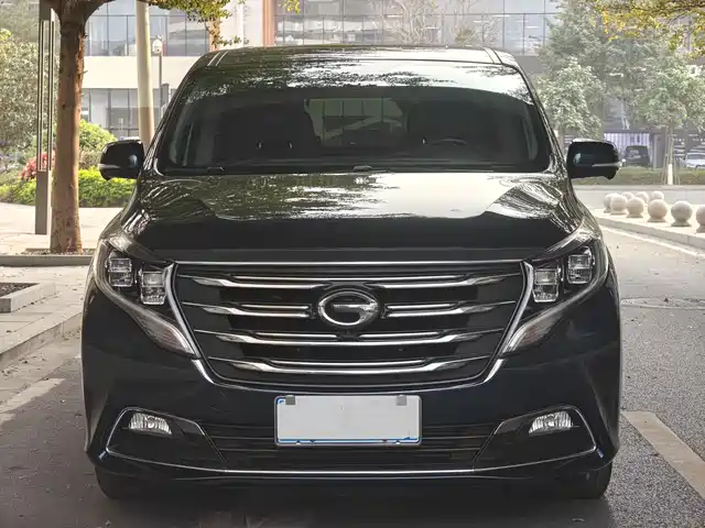 Gac Trumpchi Trumpchi M8 Trumpchi M8 2019 320t Extreme Edition — фото