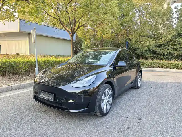 Tesla Model Y Model Y 2022 Facelift Rear-Wheel Drive Version