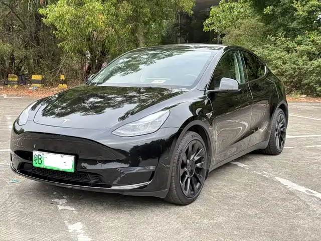 Tesla Model Y Model Y 2022 Rear-Wheel Drive Version — фото