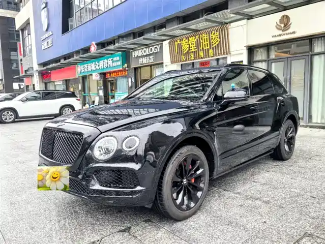 Bentley Bentayga Bentayga 2018 4.0t V8 — фото