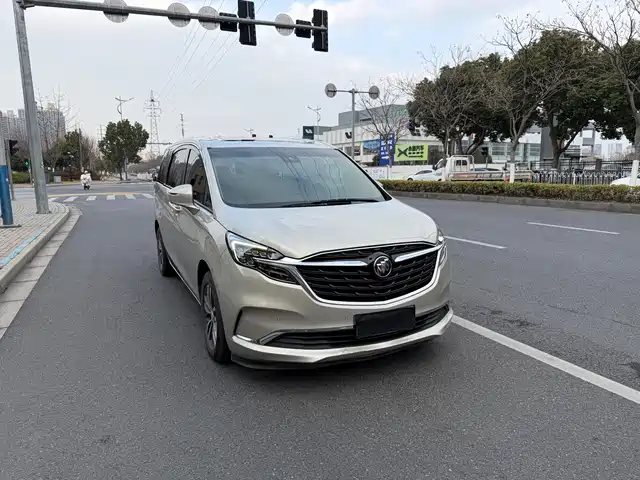 Buick Buick Gl8 Buick Gl8 2020 Es Lu Zun 653t Exclusive Type — фото