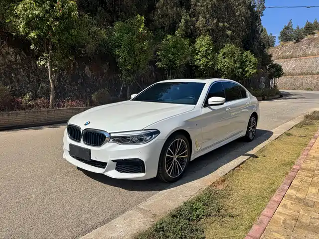 Bmw Bmw 5 Series Bmw 5 Series 2021 530li Leading M Sports Package — фото