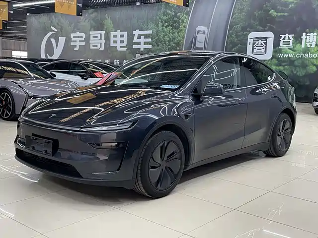 Tesla Model Y Model Y 2025 Rear-Wheel Drive Version — фото