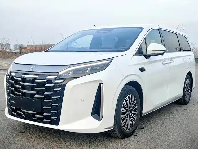 Byd Summer Summer 2025 Dm-I 1.5t 100km Transcendent Type — фото