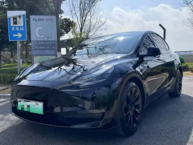 Tesla Model Y Model Y 2021 Long-Range All-Wheel Drive Version — фото