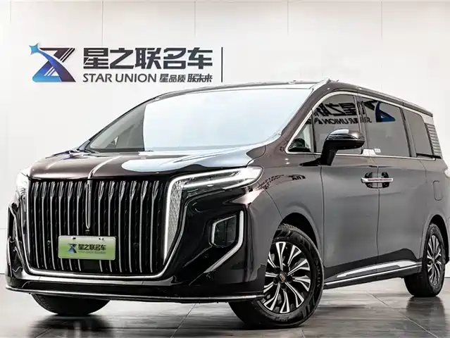 Red Flag Hongqi Hq9 Hongqi HQ9 2024 2.0T Deluxe Edition — фото