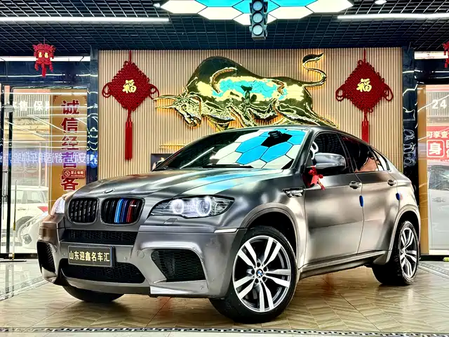 Bmw Bmw X6 M Bmw X6 M 2010 X6 M