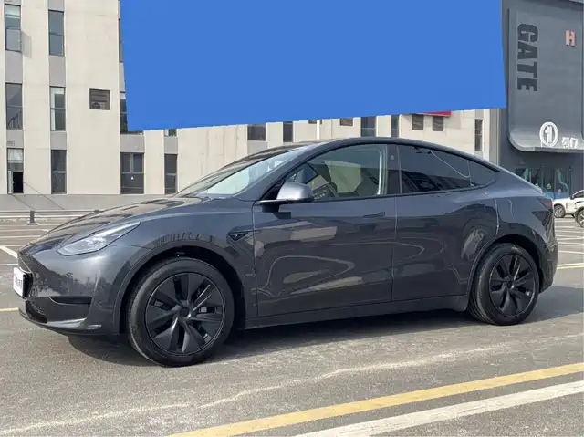 Tesla Model Y Model Y 2024 Rear-Wheel Drive Version — фото