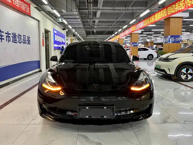 Tesla Model 3 Model 3 2022 Rear-Wheel Drive Version