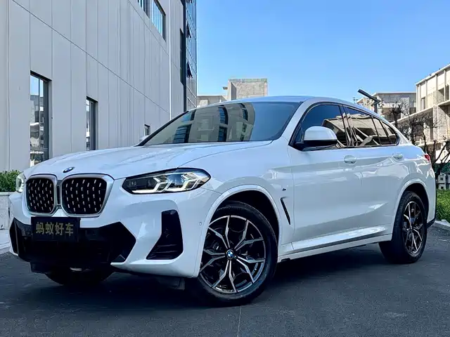Bmw Bmw X4 Bmw X4 2022 Xdrive 25i M Sports Package