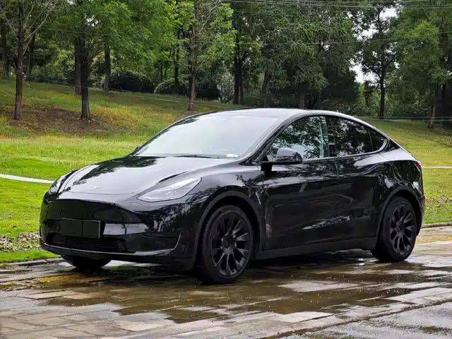 Tesla Model Y Model Y 2023 Rear-Wheel Drive Version — фото