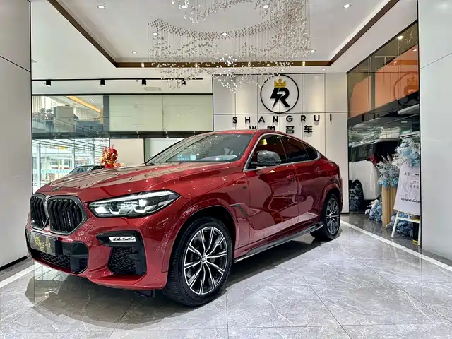 Bmw Bmw X6 Bmw X6 2020 Xdrive30i M Sports Package — фото