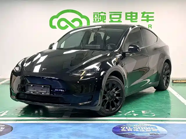 Tesla Model Y Model Y 2022 Rear-Wheel Drive Version — фото