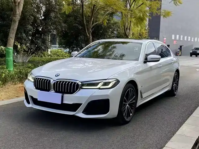 Bmw Bmw 5 Series Bmw 5 Series 2021 530li Leading M Sports Package — фото
