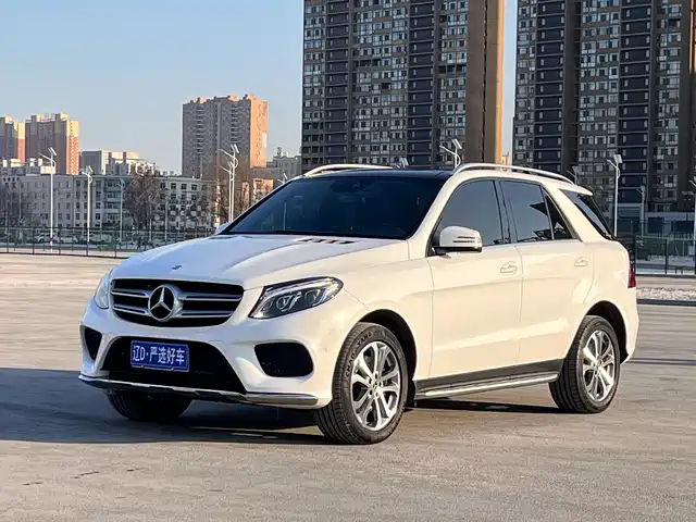 Mercedes-Benz Mercedes-Benz Gle Mercedes-Benz Gle 2017 Gle 320 4matic Luxury Model — фото