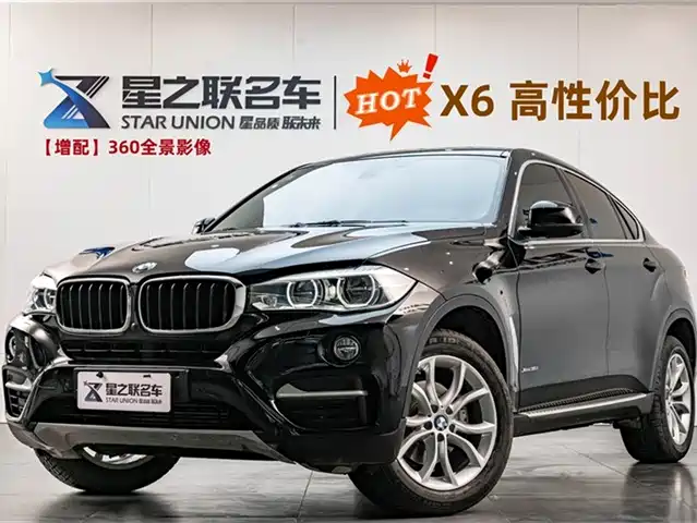Bmw Bmw X6 Bmw X6 2015 Xdrive35i Leading Model — фото