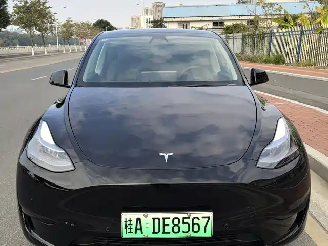 Tesla Model Y Model Y 2022 Facelift Rear-Wheel Drive Version