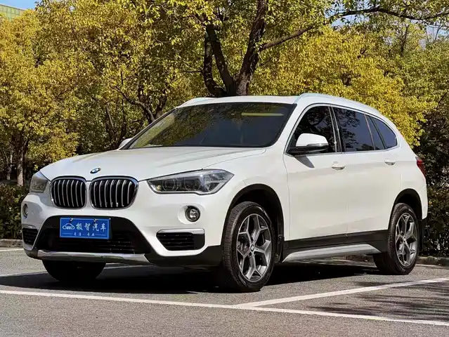 Bmw Bmw X1 Bmw X1 2019 Sdrive18li Exclusive Model — фото