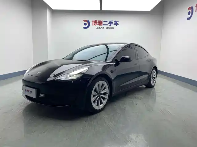Tesla Model 3 Model 3 2022 Rear-Wheel Drive Version — фото