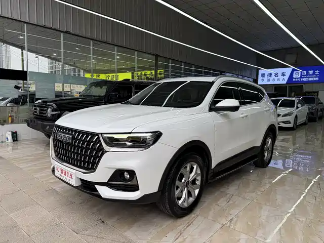 Harvard Haval H6 Haval H6 2021 National Fashion Edition 1.5gdit Automatic Champion Edition — фото