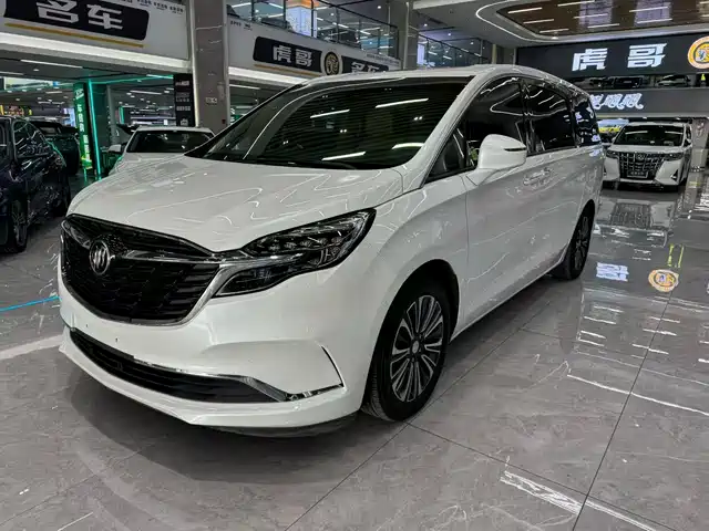 Buick Buick Gl8 Buick Gl8 2021 Es Lu Zun 653t Luxury Model
