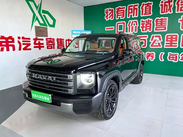 Harvard Haval Raptors New Energy Haval Raptor New Energy 2024 Hi4 145 Travel Edition — фото
