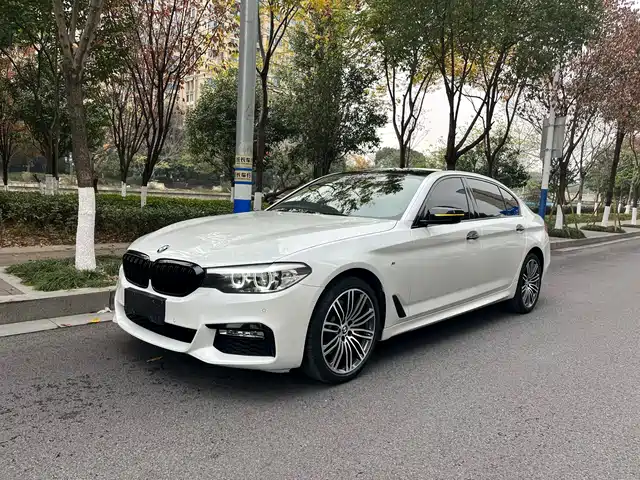 Bmw Bmw 5 Series Bmw 5 Series 2018 Facelift 530li Xdrive M Sports Package — фото