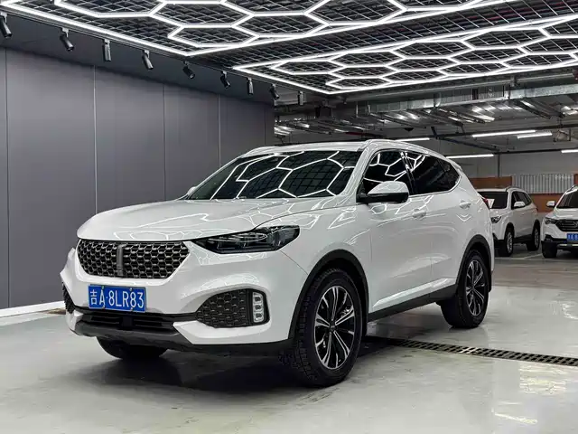 Wei Brand Wei Brand Vv6 Weipai Vv6 2020 2.0t 2wd Smart Enjoy+