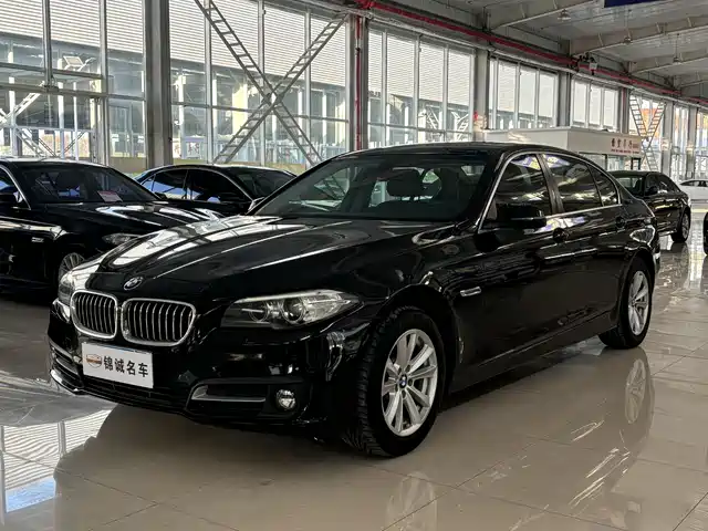 Bmw Bmw 5 Series Bmw 5 Series 2014 520li Elegant — фото