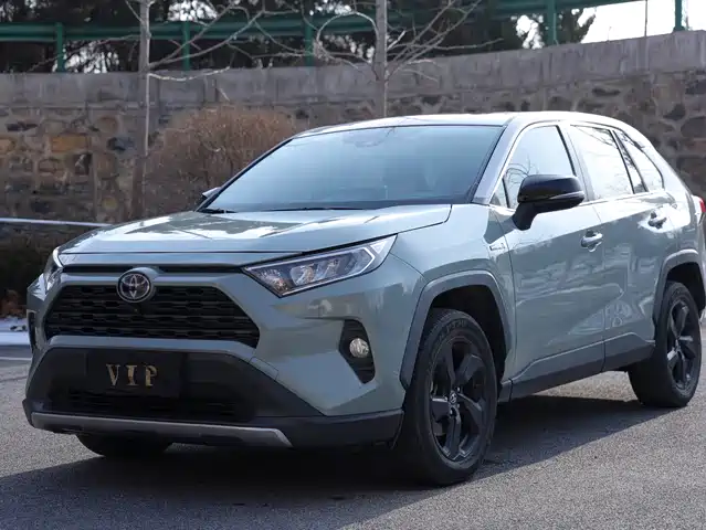 Toyota Rav4 Rongfang Rav4 Rongfang 2020 Dual Engine 2.5l E-Cvt Four-Wheel Drive Elite Plus Version — фото