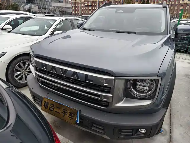 Harvard Harvard Dog Haval Big Dog 2024 1.5t Dct Border Collie Edition