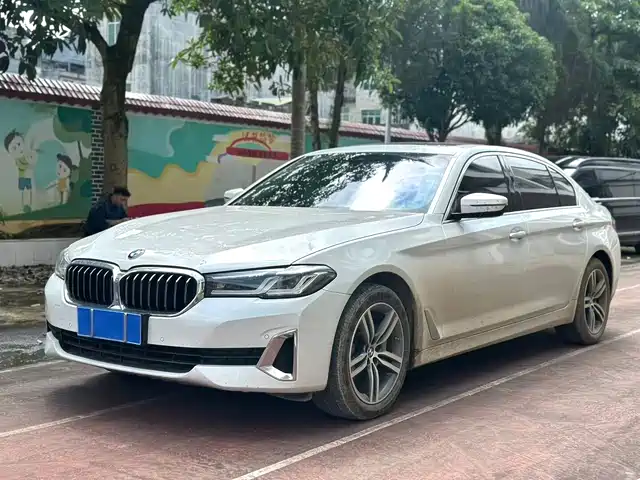 Bmw Bmw 5 Series Bmw 5 Series 2021 530li Leading Luxury Package — фото