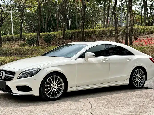 Mercedes-Benz Mercedes Benz Cls Mercedes-Benz Cls 2017 Cls 320 Yicai Edition — фото