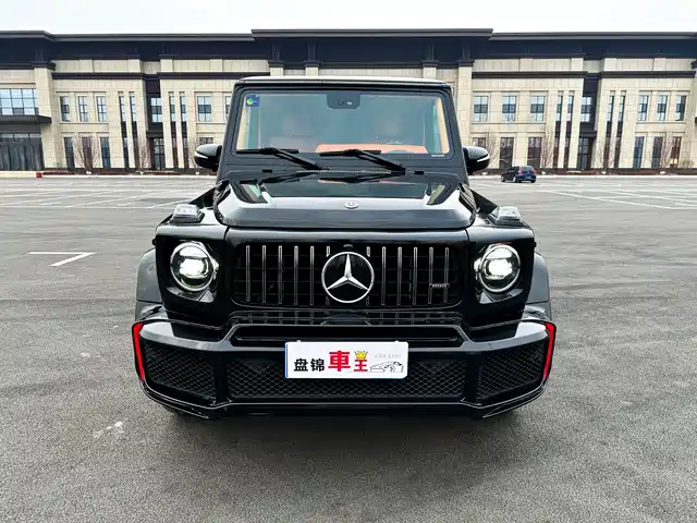 Mercedes-Benz Mercedes Benz G Class Mercedes-Benz G-Class 2010 G 500