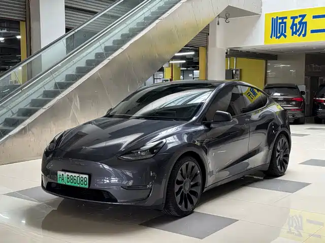 Tesla Model Y Model Y 2022 Performance High-Performance All-Wheel Drive Version — фото
