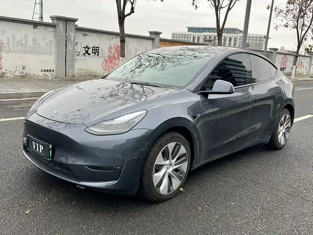 Tesla Model Y Model Y 2021 Standard Range Rear-Wheel Drive Version — фото