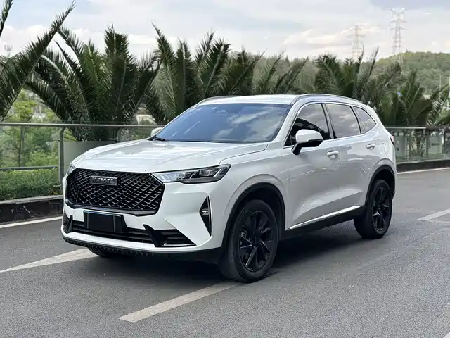 Harvard Haval H6 Haval H6 2021 Third Generation 2.0t Automatic Two-Wheel Drive Max — фото