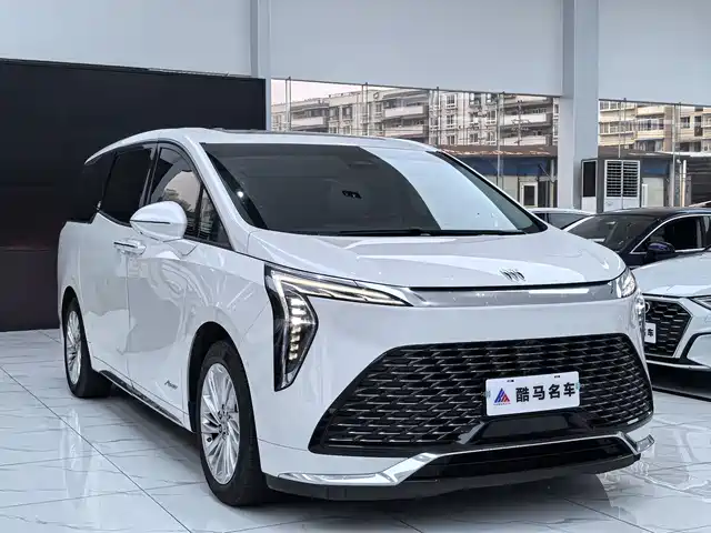 Buick Century Century 2023 2.0t Six-Seater Yuanshi Edition