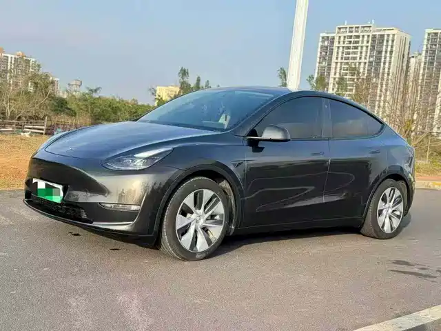 Tesla Model Y Model Y 2021 Standard Range Rear-Wheel Drive Version — фото