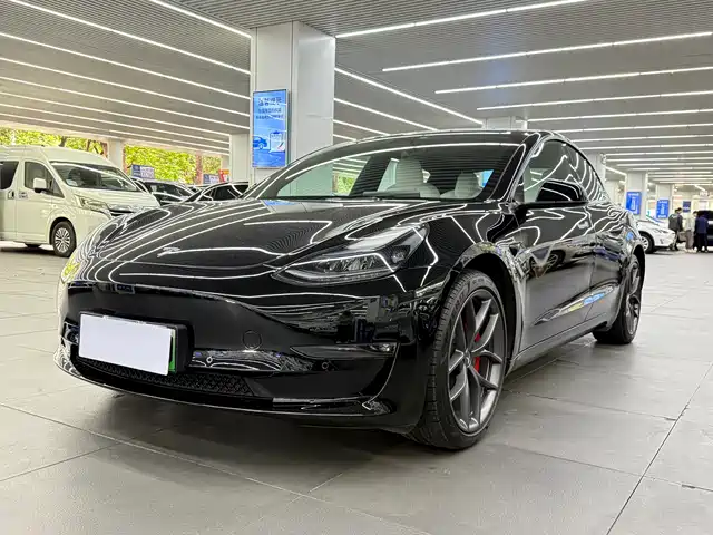 Tesla Model 3 Model 3 2022 Performance High-Performance All-Wheel Drive Version