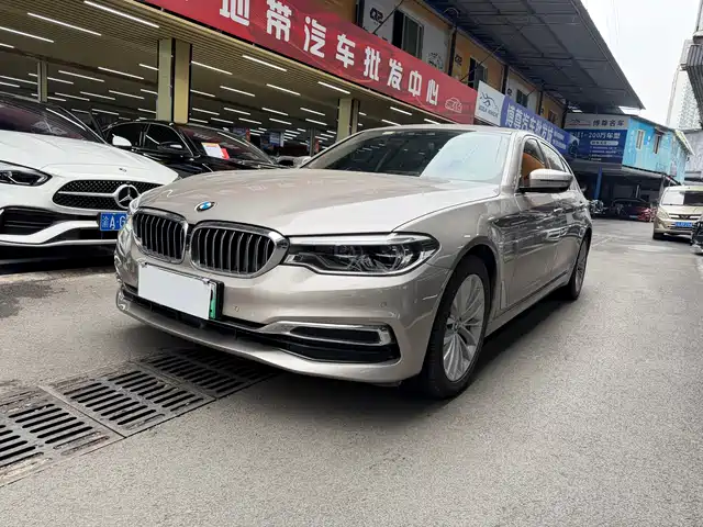 Bmw Bmw 5 Series New Energy Bmw 5 Series New Energy 2020 Mileage Upgraded Version 530le Pioneer Version