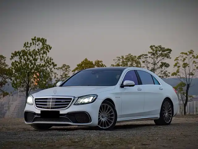Mercedes-Benz Mercedes-Benz S-Class Amg Mercedes-Benz S-Class Amg 2014 Amg S 65 L