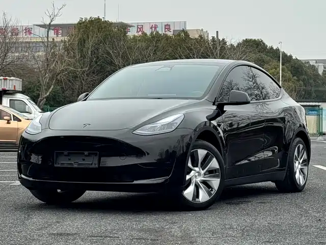Tesla Model Y Model Y 2022 Facelift Rear-Wheel Drive Version — фото